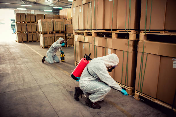 Best Affordable Pest Control Services  in Leachville, AR