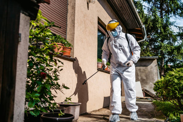 Best Best Pest Control Companies  in Leachville, AR