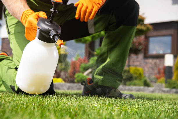 Best Wasp Removal Services  in Leachville, AR