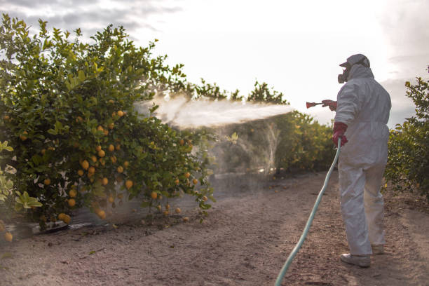 Best Pest Control Near Me  in Leachville, AR