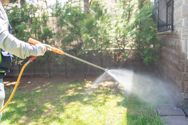 Best Residential Pest Control  in Leachville, AR
