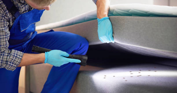 Professional Pest Control in Leachville, AR
