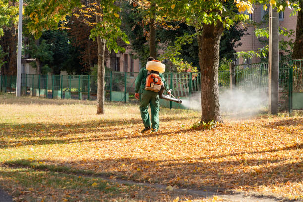 Best Bed Bug Extermination  in Leachville, AR