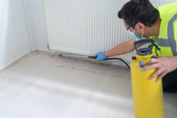 Best Emergency Pest Control  in Leachville, AR