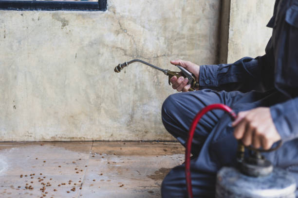 Best Pest Inspection Near Me  in Leachville, AR