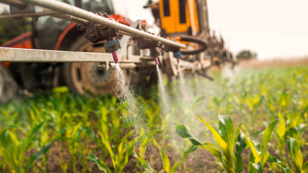 Best Mosquito Control Services  in Leachville, AR